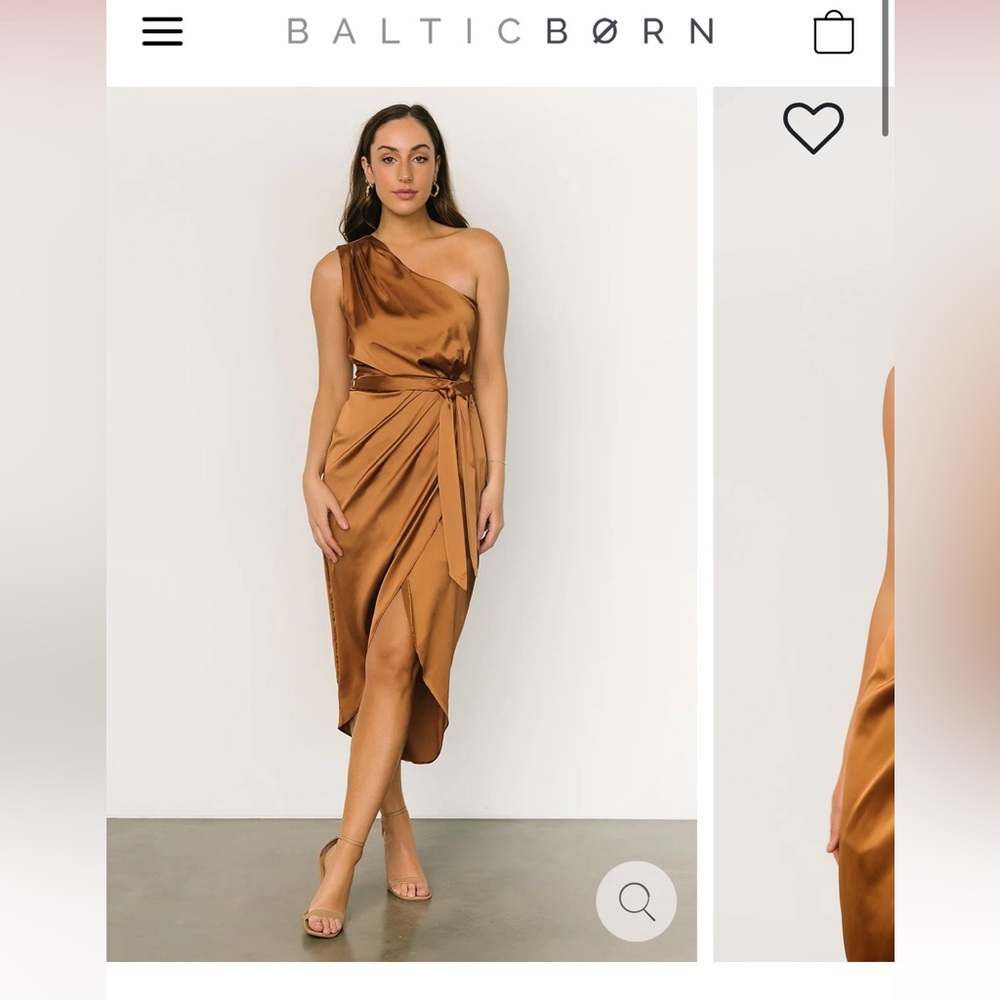 Baltic Born Celia dress in beautiful bronze color! NWT!